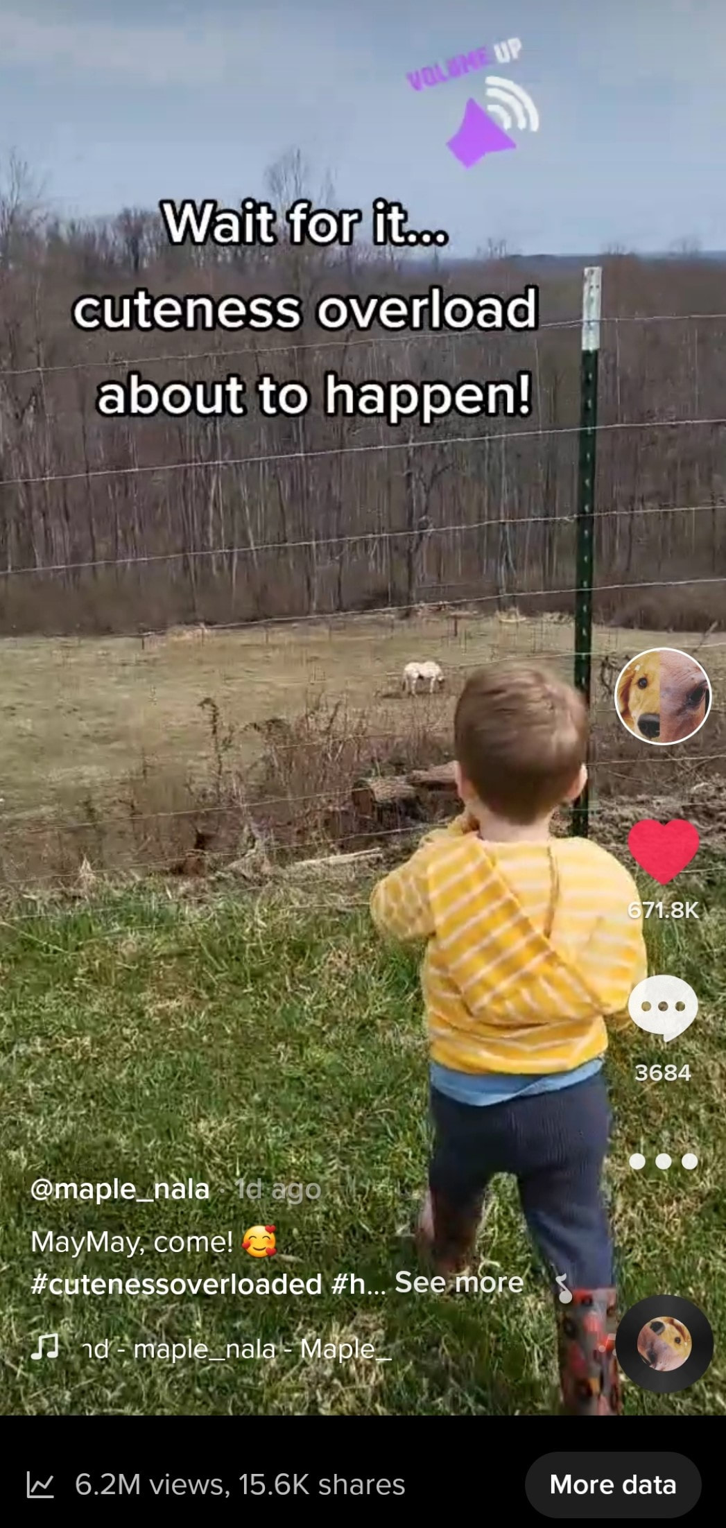 Screenshot of viral video from TikTok of a boy calling his horse.